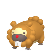 Shiny Bidoof in Legends of Arceus